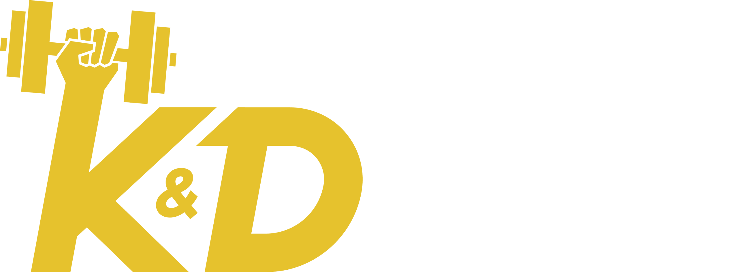 K&D Fitness Zone